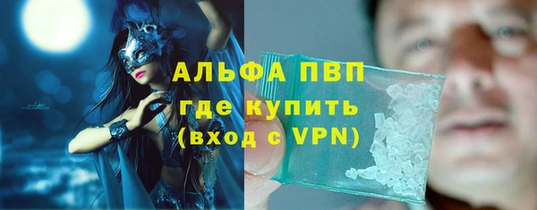 спайс Богданович