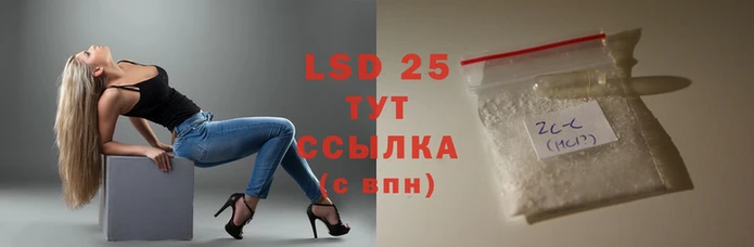 спайс Богданович
