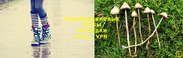 дживик Богородск