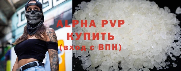 спайс Богданович